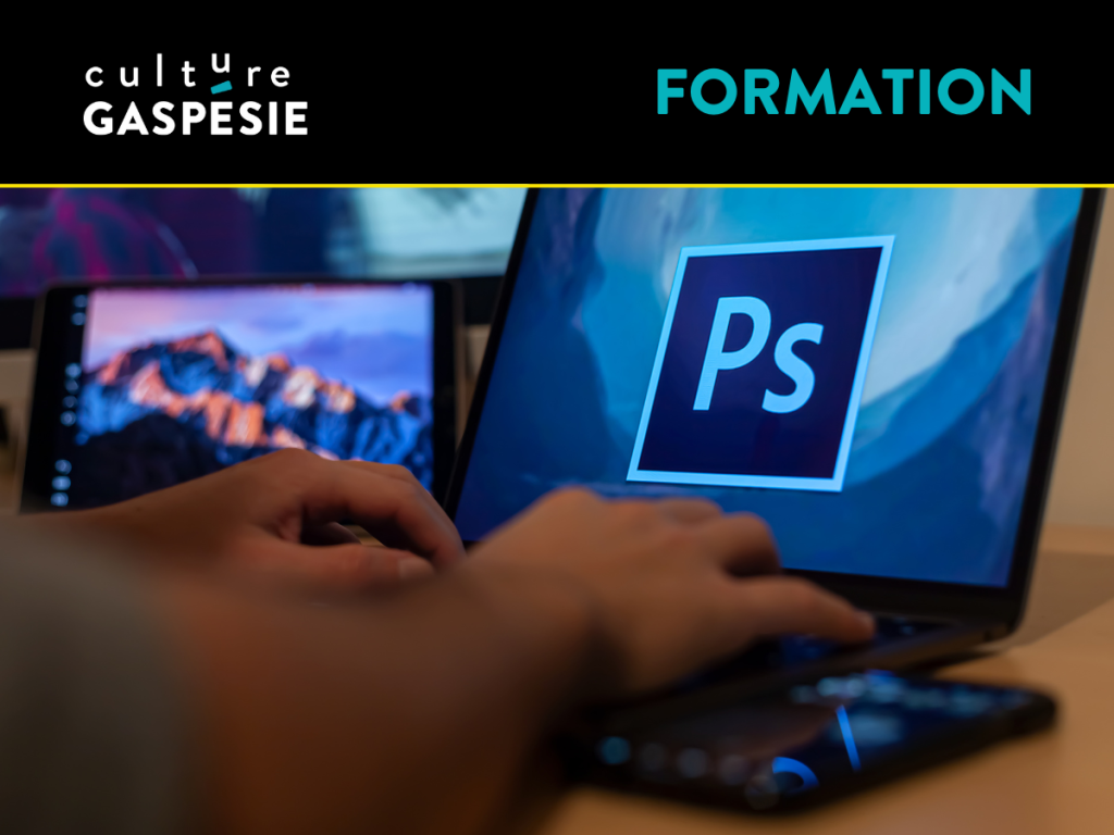 Formation : Photoshop pour artistes niveau 1