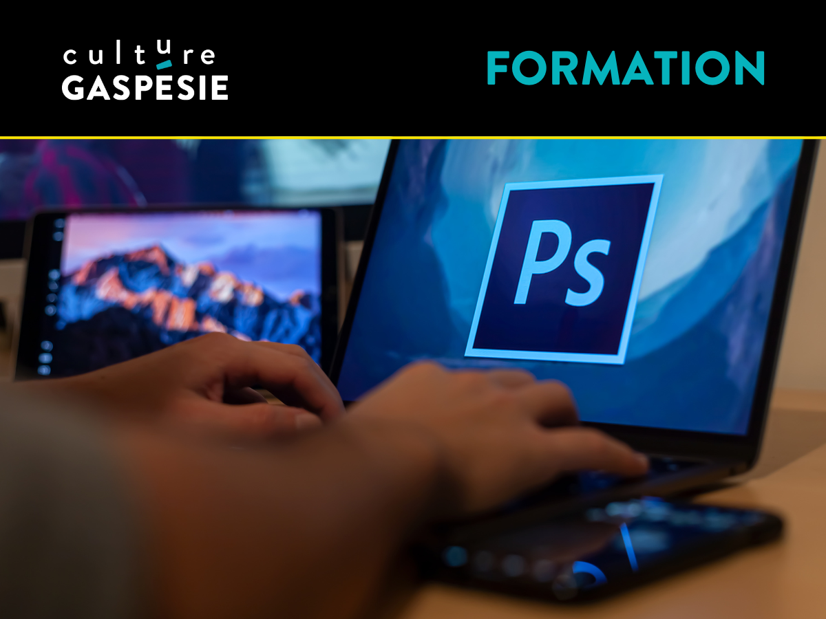 Formation : Photoshop pour artistes niveau 1