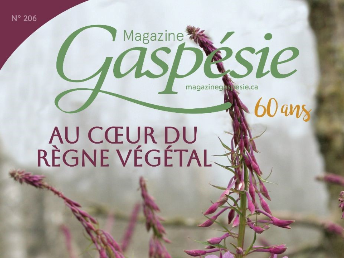 Magazine Gaspésie : Au coeur du règne végétal