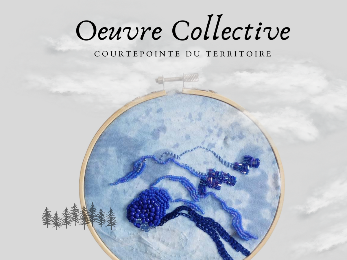 Oeuvre collective avec Julie Lacroix