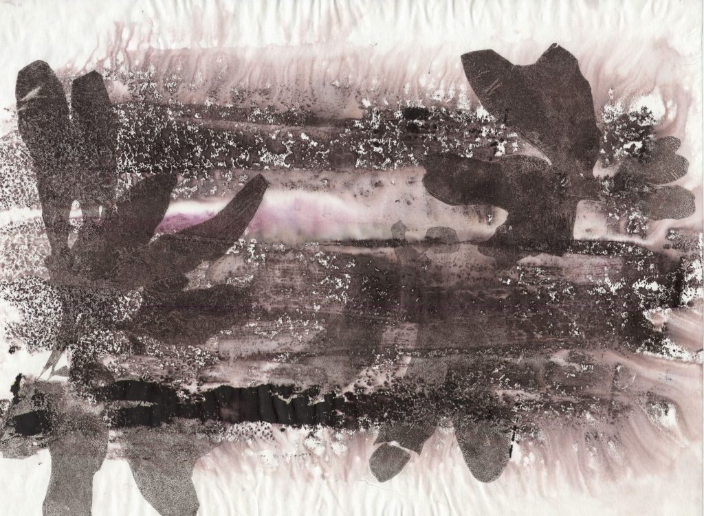 Monotype sur papier japonais, j'ai utilisé des algues «dulce» que j'ai encrée au préalable afin de les imprimées sur le papier.