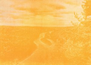 Anthotype de curcuma, 2024.