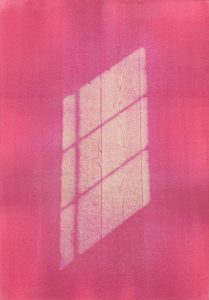 Anthotype de betterave, 2025.