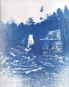 Cyanotype sur papier aquarelle, 2025.