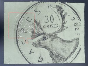 Estampe tetrapak et broderies