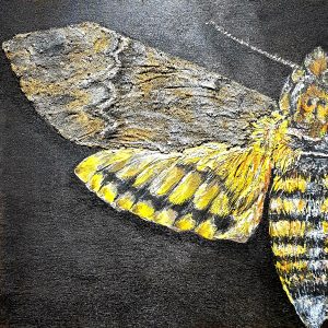 Encre de chine, sable, pâte à relief, acrylique sur planche de bois stratifié, 400x400mm